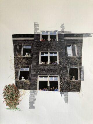 Ein Foto einer Gebäudefassade mit offenen Fenstern, aus denen Menschen und Hunde herausschauen. Das Bild befindet sich auf einem weißen Hintergrund mit einem gemalten Busch in der unteren linken Ecke.