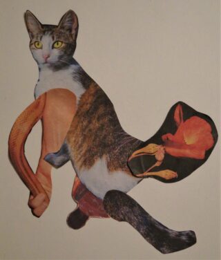 Eine Collage einer Katze, deren Körperteile durch menschliche Arme und eine Blume vor einem schlichten Hintergrund ersetzt wurden.