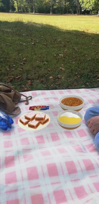 Ein Picknick auf einer rosa-weißen Decke mit einer Tasche, einer Wasserflasche, einem Waffelsnack, einem Teller mit gewürfelten Leckereien, einer Schüssel mit gelbem Brei und einer Schüssel mit Bohnen; im Hintergrund Gras und Bäume.