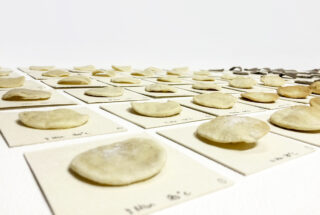 Reihen kleiner, flacher, runder Brotstücke auf einzelnen weißen Karten, jede mit handschriftlichen Notizen und Nummern beschriftet.