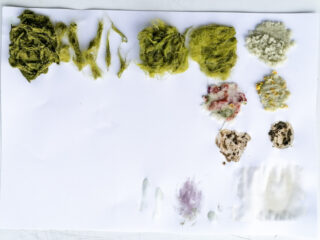 Verschiedene strukturierte grüne und weiße faserige und organische Materialien sind in Reihen auf einem leeren weißen Blatt Papier angeordnet.