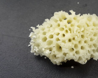 Eine Nahaufnahme eines porösen, gelblichen Materials, das einem natürlichen Schwamm ähnelt und auf einer dunklen, strukturierten Oberfläche liegt.