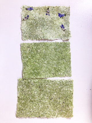 Drei rechteckige Stücke Kunstrasen sind vertikal angeordnet; das obere Stück weist mehrere blaue und schwarze Insekten auf, während die anderen beiden leer sind.