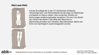 Ein Diagramm zeigt zwei Holzstämme mit CT-Scan-Bildern, die die Position eines Rumpfes und von Gliedmaßen anhand der Jahresringe hervorheben, zusammen mit einem erklärenden deutschen Text.