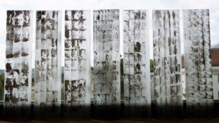 Vor einem Fenster sind mehrere vertikale Glasplatten mit abstrakten schwarz-weißen Mustern in einer Reihe angeordnet, so dass Licht hindurchscheinen kann.