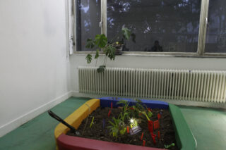 Ein kleines Indoor-Gartenbeet mit verschiedenen Pflanzen und Markierungen steht in der Nähe eines Fensters mit geschlossenen Jalousien und einem Heizkörper darunter. Auf der Fensterbank steht eine Topfpflanze.