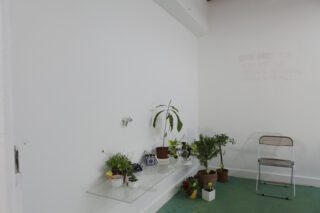 Eine kleine Innenecke mit mehreren Topfpflanzen auf dem Boden und auf einem Glasregal, einem Klappstuhl und handgeschriebenem Text auf Deutsch an einer weißen Wand.