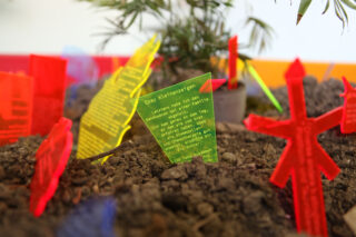 Bunte, durchscheinende Plastikschilder mit aufgedrucktem Text werden im Innenbereich zwischen kleinen Pflanzen in die Erde gesteckt.