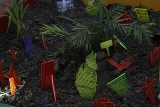 Eine kleine Topfpflanze, umgeben von verschiedenen bunten, durchscheinenden Markierungen mit Text, in dunkler Erde platziert.
