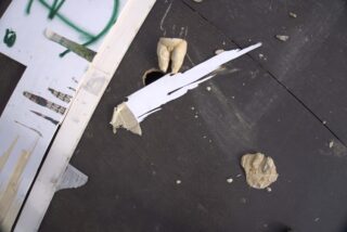 Auf einem dunklen Boden liegt ein Stück weißes, zerrissenes Holz, daneben zwei Gipsabdrücke von Zähnen und verstreuter Schutt.