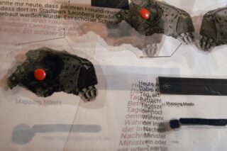 Nahaufnahme eines deutschen Textes, überlagert mit Bildern von Tierschädeln und roten Stecknadeln, teilweise verdeckt durch Reflexionen oder transparentes Material. Die Worte „Mapping Minds“ sind sichtbar.