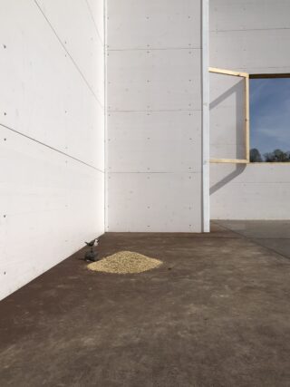 Ein kleiner Haufen Holzspäne und ein Metallwerkzeug liegen auf einem Betonboden neben einer weißen Wand mit offenem Fensterrahmen im Sonnenlicht.
