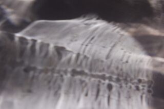 Abstraktes Schwarzweißbild mit weichen, wellenförmigen Mustern und verschwommenen Streifen, die Licht und Schatten auf einer strukturierten Oberfläche ähneln.