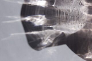 Abstraktes Nahaufnahmebild, das Lichtreflexionen und Verzerrungen auf einer glatten, gekrümmten, halbtransparenten Oberfläche vor einem neutralen Hintergrund zeigt.