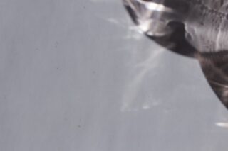 Eine Nahaufnahme eines glänzenden, metallischen Objekts in der oberen rechten Ecke vor einem schlichten, hellgrauen Hintergrund.