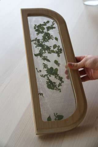 Eine Hand hält ein Maschensieb mit Holzrahmen, auf dessen Maschenoberfläche gleichmäßig grüne Blätter verteilt sind.