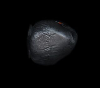 Ein großer schwarzer Müllsack, prall gefüllt und oben zugebunden, steht zentriert vor einem schlichten schwarzen Hintergrund.