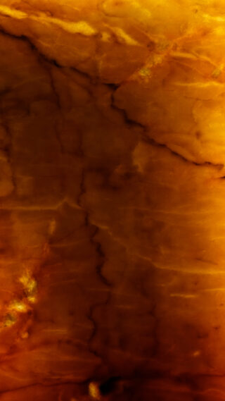 Nahaufnahme einer strukturierten, bernsteinfarbenen Steinoberfläche mit durchgehenden dunklen, aderartigen Rissen.