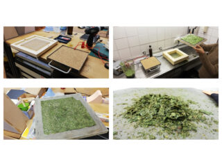 Vierstufiger Prozess der Papierherstellung aus grünem Pflanzenmaterial: Pressen in einer Form, Handhabung von Werkzeugen, Trocknen des gepressten Blattes und eine Nahaufnahme der zerkleinerten Pflanzenmischung.