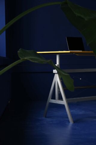 In einem dunkelblauen Raum steht ein minimalistischer Schreibtisch mit einem geöffneten Laptop, der teilweise durch große grüne Pflanzenblätter im Vordergrund verdeckt wird.