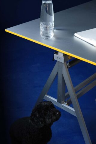Ein schwarzer Hund mit Locken sitzt vor einem dunkelblauen Hintergrund neben einem Metalltisch, auf dem eine Glasflasche mit Wasser und ein offenes Notizbuch liegen.