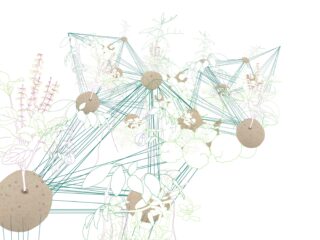 Abstrakte Illustration von miteinander verbundenen Pflanzen, Blumen und braunen kugelförmigen Knoten, die durch blaugrüne Linien verbunden sind und ein Netzwerkkonzept auf weißem Hintergrund darstellen.