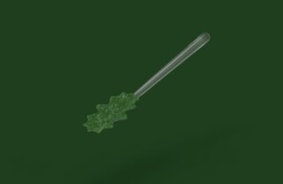 Ein transparenter Stab mit einem grünen, strukturierten, blattförmigen Ende wird vor einem einfarbigen dunkelgrünen Hintergrund angezeigt.
