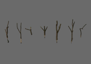 Sieben kleine Äste mit gegabelten und abgewinkelten Formen sind in einer horizontalen Linie vor einem schlichten grauen Hintergrund angeordnet.