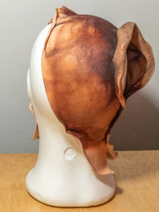 Ein brauner Hundekauknochen in Form von Schweineohren liegt auf einem weißen Schaufensterpuppenkopf, der im Innenbereich auf einer Holzoberfläche fotografiert wurde.