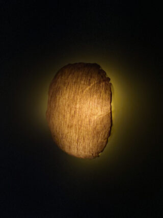 Ein rundes, strukturiertes Objekt wird vor einem dunklen Hintergrund beleuchtet und wirft einen sanften gelblichen Schimmer um seine Ränder.