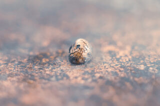 Eine Nahaufnahme eines kleinen, verwitterten, metallischen Objekts mit einer rissigen Oberfläche auf einem rauen, gesprenkelten Hintergrund.