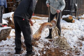 Zwei Personen in Winterkleidung binden ein dickes Seil um ein Tierfell auf schneebedecktem Boden im Freien, im Hintergrund sind Baumstämme und Holz zu sehen.