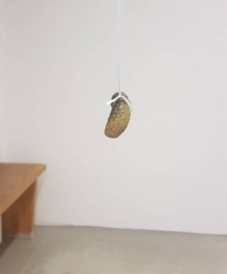 In einem minimalistisch eingerichteten Raum mit einer Holzbank an einer Wand hängt eine einzelne Essiggurke an einer Schnur von der Decke.