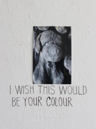 An einer weißen Wand ist das Foto eines Hundes mit grauem Fell über dem handgeschriebenen Text „ICH WÜNSCHTE, DAS WÄRE DEINE FARBE“ aufgeklebt.