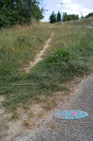 Ein schmaler unbefestigter Fußweg führt durch hohes Gras neben einem gepflasterten Gehweg, auf dem Boden liegt ein Schild mit der Aufschrift „WELL-TRODDEN DESIRE LINE“.
