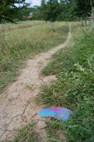 Ein schmaler Feldweg schlängelt sich durch hohes Gras, im Vordergrund liegt ein Stück buntes Papiermüll auf dem Boden.