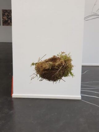 Ein Vogelnest aus Zweigen und Moos hängt an dünnen Schnüren vor einer weißen Wand in einer Kunstgalerie.