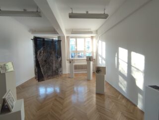 Der sonnendurchflutete Kunstgalerieraum mit Holzböden verfügt über fünf Skulpturen oder gerahmte Kunstwerke auf weißen Sockeln und einen großen halbtransparenten Vorhang, der neben einem Fenster hängt.