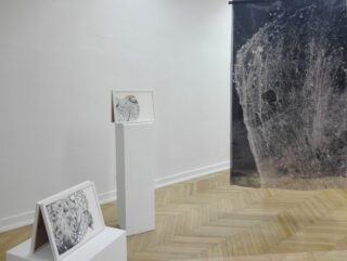 In einem minimalistischen Galerieraum werden monochrome abstrakte Kunstwerke auf Sockeln und ein großer hängender Druck ausgestellt, die alle komplizierte, organische Texturen aufweisen.