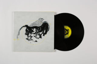 Eine schwarze Vinyl-Schallplatte gleitet teilweise aus einem weißen Albumcover mit abstrakten schwarz-grauen Kunstwerken in einem blassen gelben Kreis.