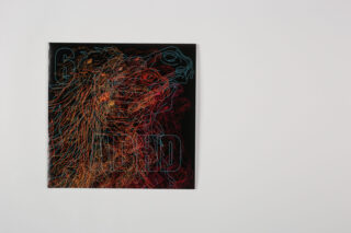 Quadratisches Albumcover mit mehrfarbiger, abstrakter Strichzeichnung eines Löwen und eines Vogels auf schwarzem Hintergrund, mit teilweisem Text mit den Worten „GR“ und „DEAD“, aufgehängt an einer schlichten weißen Wand.