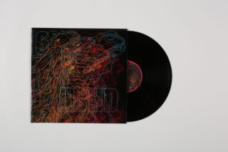 Eine schwarze Vinyl-Schallplatte, teilweise aus ihrer Hülle genommen, auf der eine bunte, abstrakte Strichzeichnung eines Tieres und das Wort „RED“ zu sehen sind.