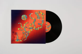 Eine schwarze Vinyl-Schallplatte ist teilweise aus einer Hülle mit farbenfrohen abstrakten Kunstwerken auf weißem Hintergrund gerutscht.