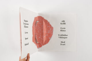 Ein offenes Buch, das von einer Hand gehalten wird. Auf der linken Seite befindet sich eine strukturierte kreisförmige rosa Grafik und auf beiden Seiten steht isländischer Text vor einem weißen Hintergrund.