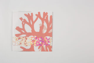 Auf einem schlichten weißen Hintergrund liegt ein weißes Buch mit einer großen rosa Korallengrafik und einem horizontalen schillernden Band mit kreisförmigen Mustern.