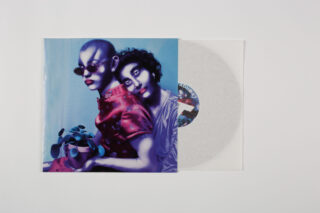 Eine teilweise in einer Hülle steckende Vinyl-Schallplatte mit einem Coverbild von zwei Personen, von denen eine eine Sonnenbrille trägt und eine Topfpflanze hält, die beide eng beieinander vor einem blauen Hintergrund posieren.