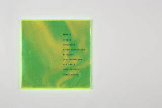 Auf der Vorderseite einer grünen, durchscheinenden CD-Hülle ist in schwarzer Schrift eine Liste mit Namen oder Titeln aufgedruckt, darunter ADHD 5, Svedja, Freeanglo und andere.