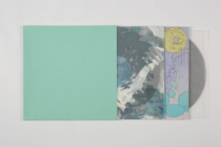 Eine Vinyl-Schallplatte ist teilweise aus einer pastellgrünen Hülle gerutscht und zeigt eine illustrierte Innenhülle mit abstrakter Kunst und eine transparente Schutzhülle.