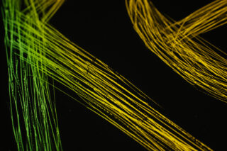 Nahaufnahme dünner, sich kreuzender gelber und grüner Linien auf schwarzem Hintergrund, die Streifen oder Pinselstrichen ähneln.