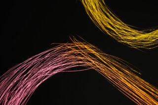 Geschwungene, dünne Linien in Gelb- und Rosatönen ziehen sich über einen schwarzen Hintergrund und erzeugen ein abstraktes, fließendes Muster.
